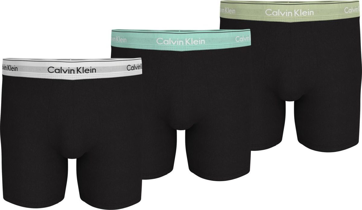Calvin Klein Boxer Brief 3-Pack Icon Cotton Stretch Black w/White/Beau Blue/Leafy Fun WBS